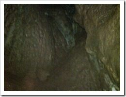 IMG00150-20100821-1712